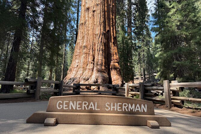 Private Tour to Sequoia and Kings Canyon National Parks - Good To Know