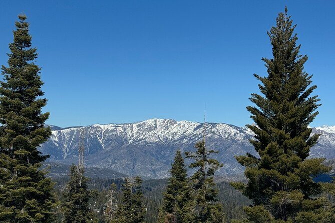 Private Tour to Sequoia and Kings Canyon National Parks - An In-Depth Look at the Experience