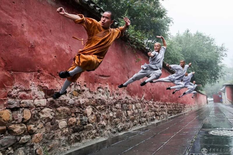 Private tour to Shaolin Temple and Longmen Grottoes - A Deep Dive into the Tour Experience  