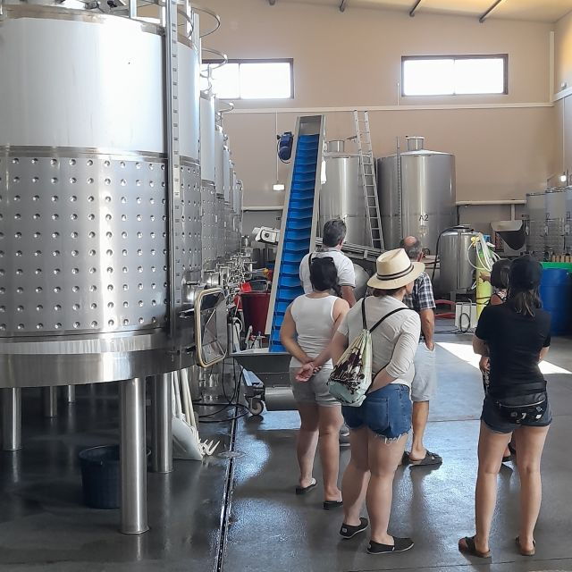 Private Tour to Silves Castle Whith Algarvian Wine Tasting - The Sum Up