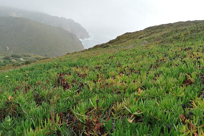 Private Tour to Sintra, Cabo Da Roca and Cascais From Lisbon - Beaches and Surfing in Cascais