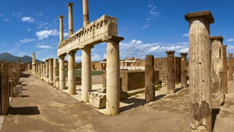 Private Tour to Sorrento Coast Pompeii and Vesuvius - Good To Know
