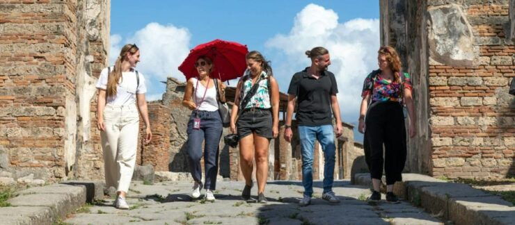 Private Tour to Sorrento Coast Pompeii and Vesuvius - Tour Details