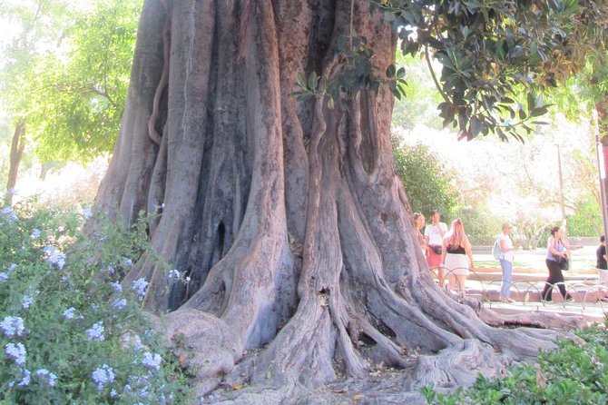 Private Tour to Spain Squaremaría Luisa Park - The Sum Up