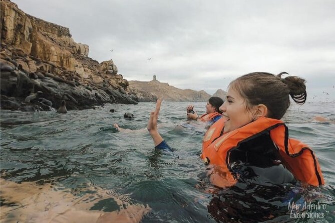 Private Tour to Spot Sea Lions in Palomino Islands From Lima - Tour Itinerary