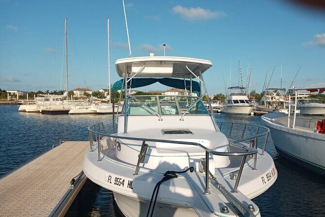 Private Tour to Stingray City & Snorkeling at Coral Gardens - Exploring the Best of Grand Cayman: Private Stingray City & Coral Gardens Tour