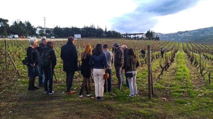 Private Tour to Stunning Douro Valley and Renowned Wineries - Good To Know