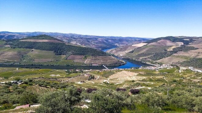 Private Tour to Stunning Douro Valley and Renowned Wineries - Booking Information