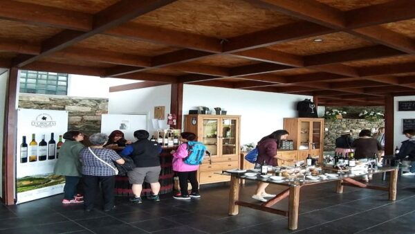 Private Tour to Stunning Douro Valley and Renowned Wineries - The Sum Up