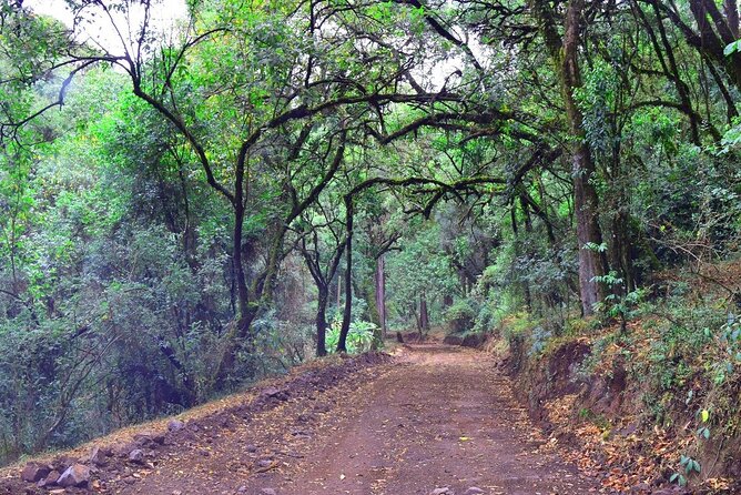 Private Tour to Suba Forest and Highest Peak With Lunch - Meeting and Pickup