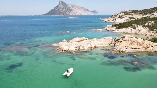 Private Tour to Tavolara and Molara Half Day - Highlights