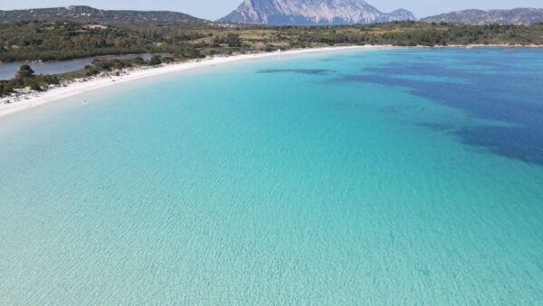 Private Tour to Tavolara and Molara Half Day - Booking Information