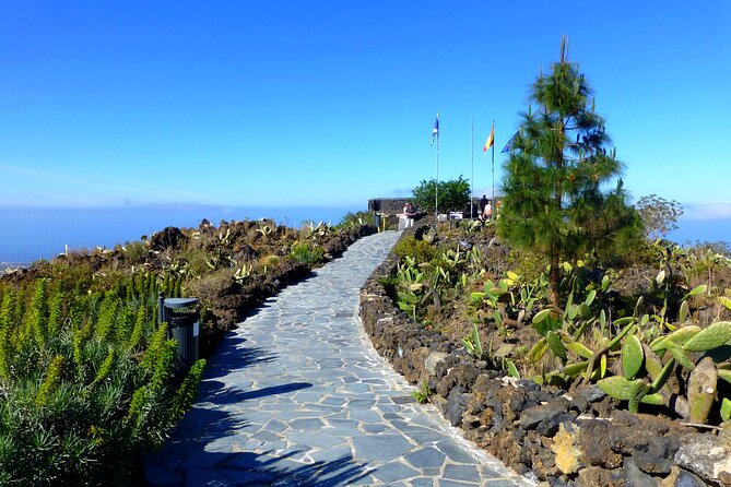 Private Tour to Teide in a Luxury Vehicle - Flexibility and Convenience