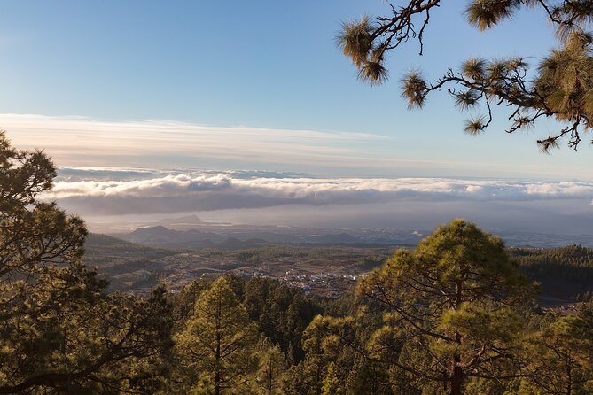 Private Tour to Teide in a Luxury Vehicle - Common Questions