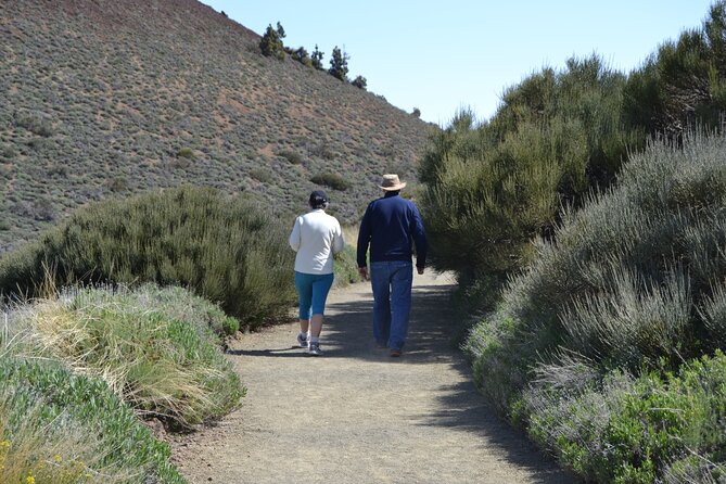 Private Tour to Teide National Park VIP - Important Information About the Experience
