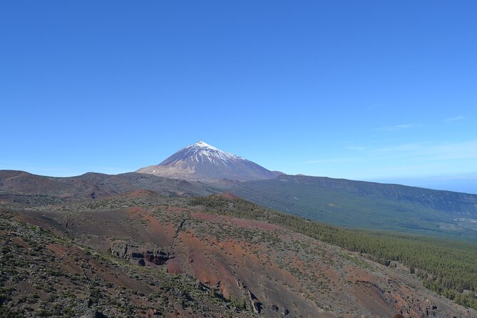 Private Tour to Teide National Park VIP - Tips for a Memorable Teide National Park VIP Tour