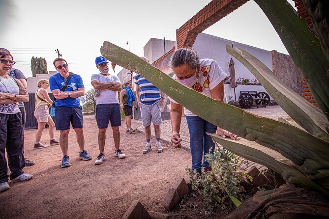 Private Tour to Teotihuacán and the Basilica of Guadalupe - Frequently Asked Questions