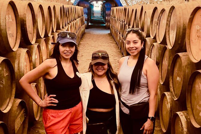 Private Tour to Tequila and Guachimontones - Who Should Consider This Tour?