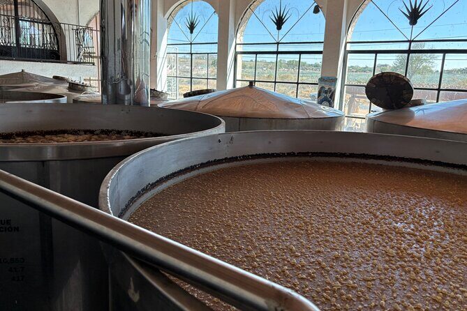 Private Tour to Tequila and Guachimontones - FAQ