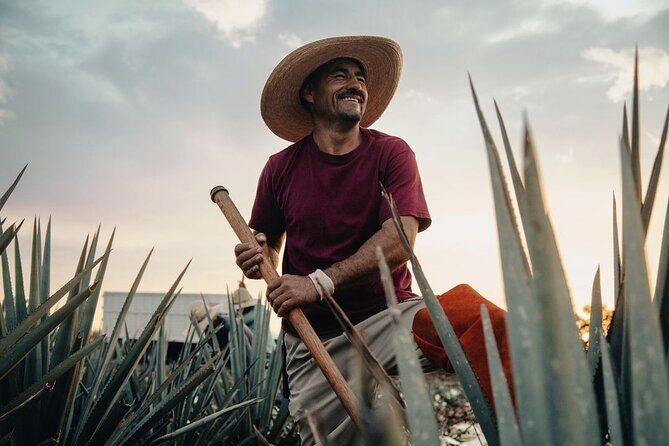 Private Tour to Tequila Ocho Distillery and the Town of Arandas - Good To Know