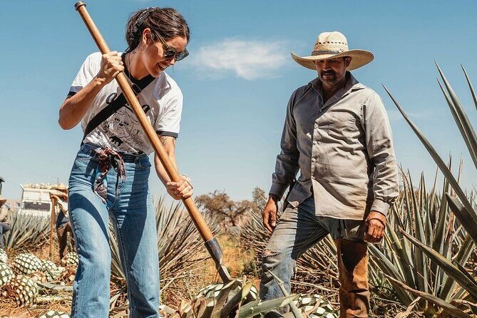 Private Tour to Tequila Ocho Distillery and the Town of Arandas - A Closer Look at the Itinerary