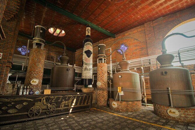 Private Tour to Tequilera Corralejo and Piramides Zone - A Closer Look at the Itinerary