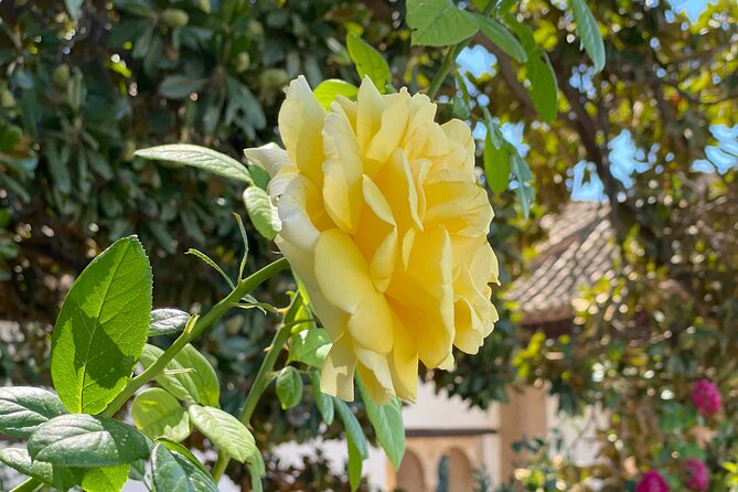 Private Tour to the Alhambra and Generalife From Motril Port - Booking and Cancellation Policy