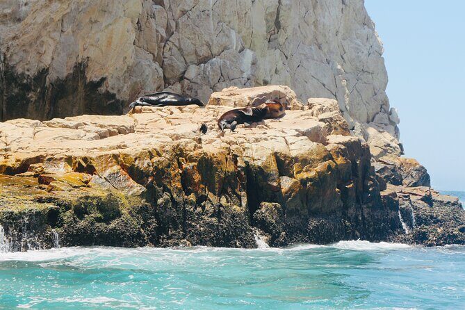 Private Tour to the Arch of Cabo San Lucas by Glass Bottom Boat - Price and Value