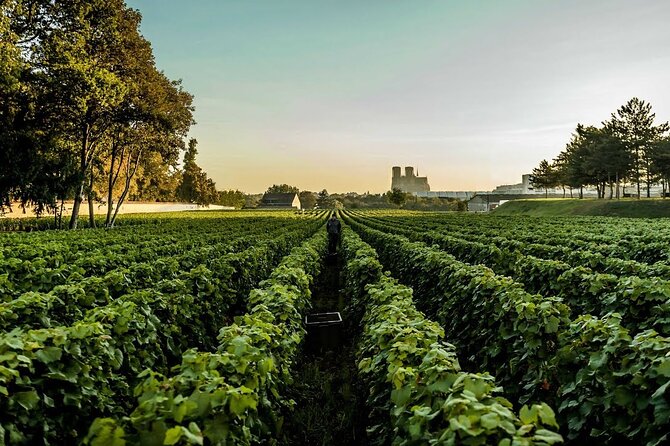 Private Tour to the Best Champagne Wineries From Paris - Champagne Region Highlights