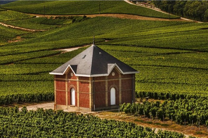 Private Tour to the Best Champagne Wineries From Paris - Exclusive Winery Visits