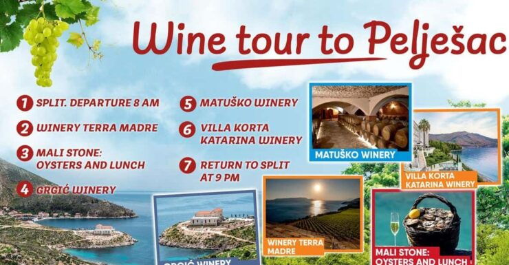 Private Tour to the Best Wineries on PelješAc - Wineries and Culinary Experience