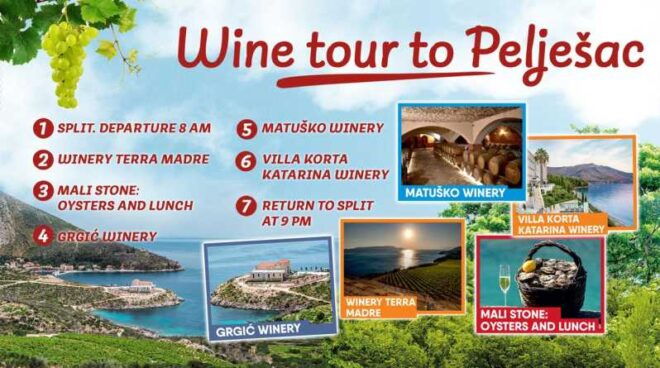 Private Tour to the Best Wineries on PelješAc - Expert Guidance and Highlights