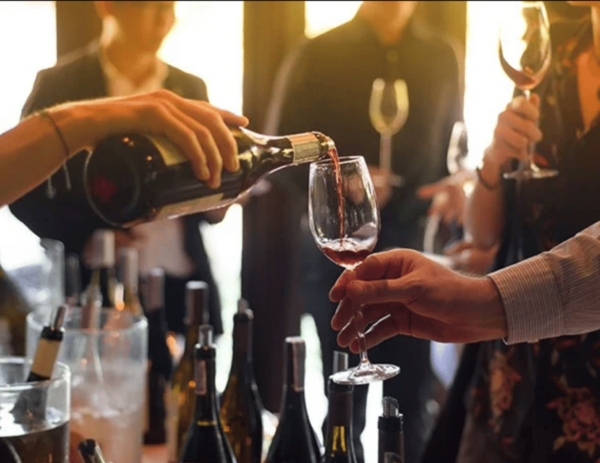 Private Tour to the Best Wineries on PelješAc - Scenic Views of Pelješac Peninsula