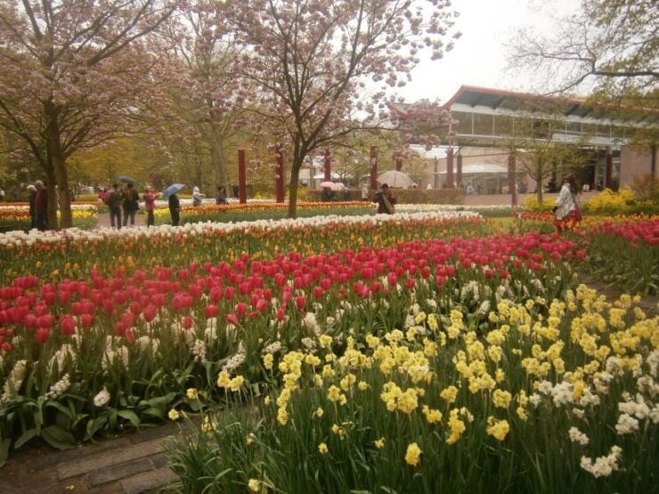 Private Tour to the Flowers From Amsterdam by Bus - Activity Details