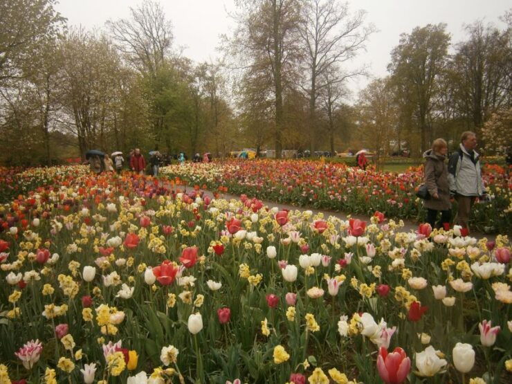 Private Tour to the Flowers From Amsterdam by Bus - Benefits of a Live Tour Guide