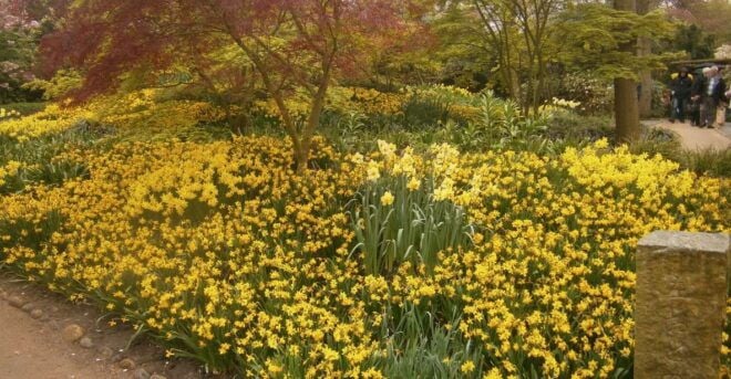 Private Tour to the Flowers From Amsterdam by Bus - Convenient Pickup Options