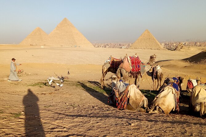 Private Tour to The Great Pyramids, Sphinx and Camel Ride - Private Tour Guide
