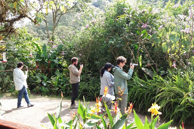 Private Tour to the Hummingbird Reserve and Visit to the Middle of the World From Quito - Visitor Review