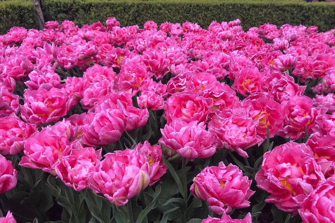 Private Tour to the Keukenhof - Meeting and Pickup Details