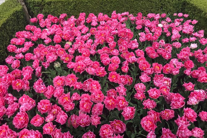 Private Tour to the Keukenhof - Pricing and Additional Information