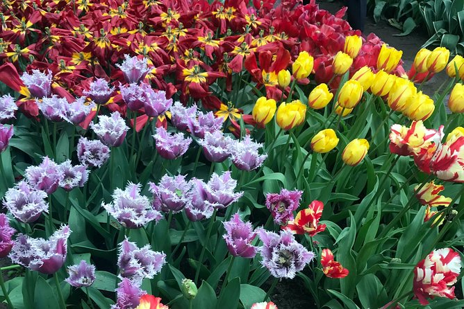 Private Tour to the Keukenhof - Tips for Visiting Keukenhof