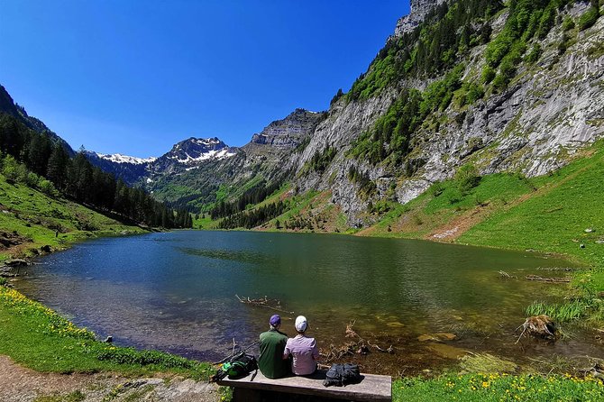 Private Tour to the Most Breathtaking Insider Spots in Switzerland (1 Day) - Tour Overview and Details