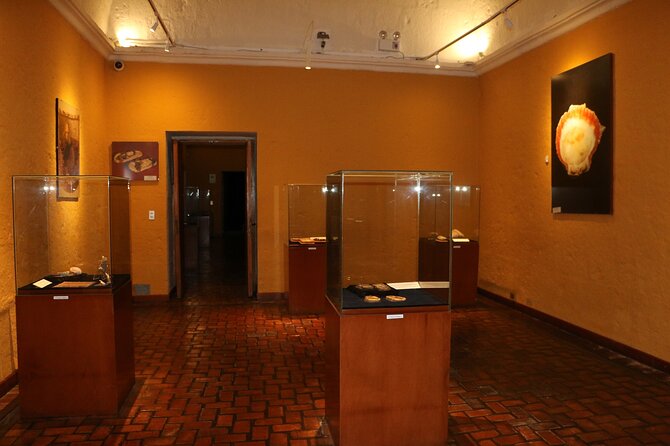 Private Tour to the Museum of Andean Sanctuaries in Arequipa - Common Questions