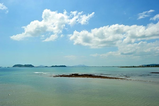 Private Tour to the Panama Canal, Old Town and Amador Causeway - Tour Highlights