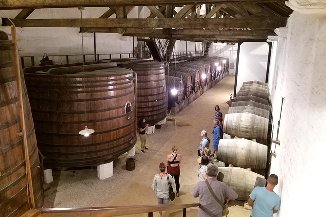 Private Tour to the Rock Art of Côa Park, Pinhão and Winery - Reviews and Cancellation Policy