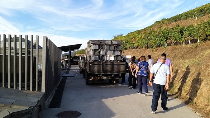 Private Tour to the Rock Art of Côa Park, Pinhão and Winery - Directions and Itinerary