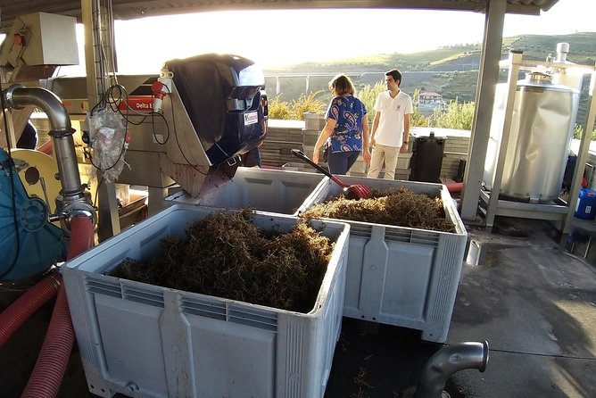 Private Tour to the Rock Art of Côa Park, Pinhão and Winery - Common Questions