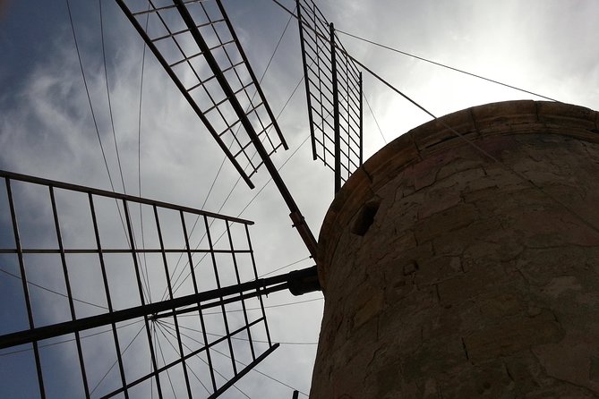 Private Tour to the Salt Pans of Trapani - Tour Details