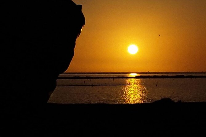Private Tour to the Salt Pans of Trapani - Price and Inclusions
