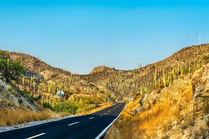 Private Tour to the Tehuacán Biosphere Reserve - Exploring the Tehuacán Biosphere Reserve: A Balanced Look at a Unique Mexican Experience